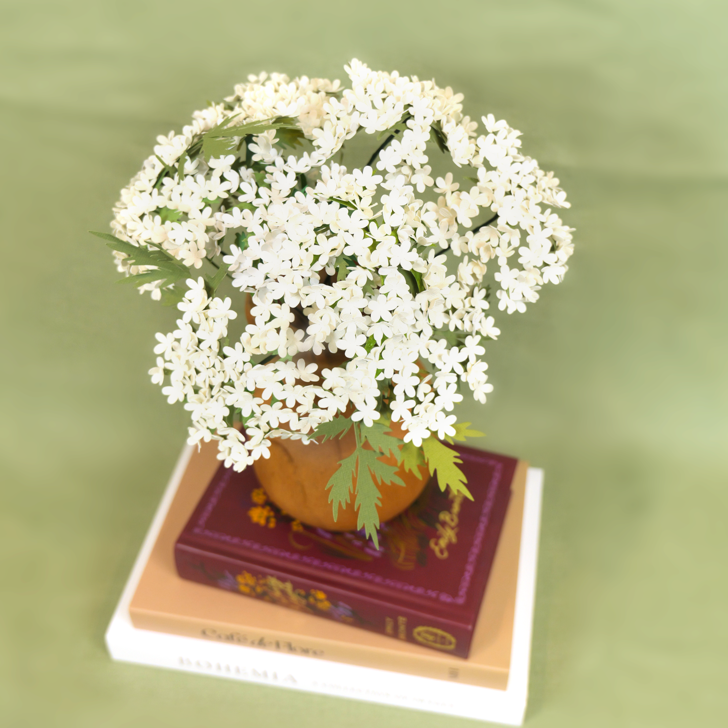 Queen Anne's Lace Bloom